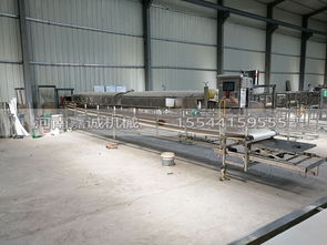 國(guó)內(nèi)知名紅薯粉皮加工設(shè)備選購(gòu)指南 廠家、價(jià)格與銷售熱線